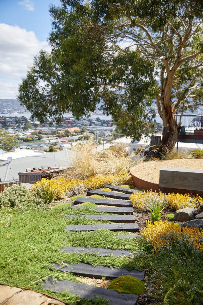 A landscaped garden with stone stepping paths, low green and yellow plants, and a large tree overlooks a suburban area and hills in the background. Loci Landscapes | Landscape Designers Tasmania