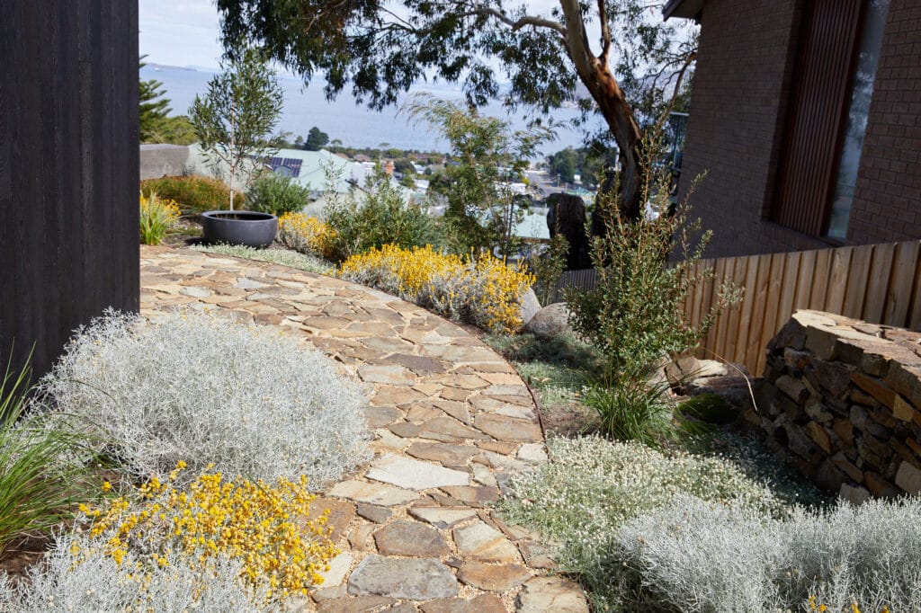 A stone path curves through a landscaped garden with yellow and white flowering plants, situated between two buildings with a view of rooftops and water in the background. Loci Landscapes | Landscape Designers Tasmania