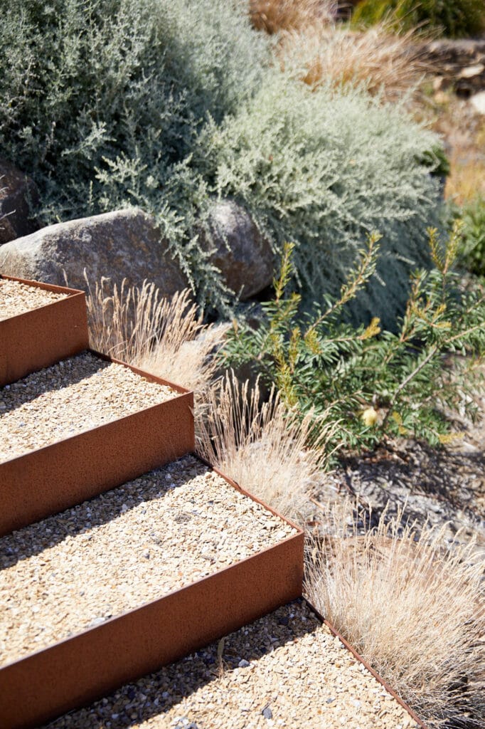 Gravel steps with rust-coloured metal edging lead upward beside ornamental grasses, large rocks, and silvery-green shrubs in a landscaped garden. Loci Landscapes | Landscape Designers Tasmania