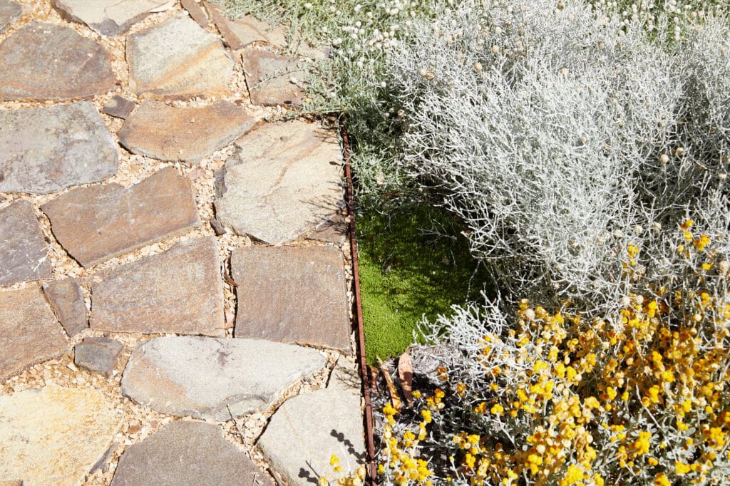 A stone path runs alongside a garden bed with dry, silvery-green foliage and yellow flowers under bright sunlight. Loci Landscapes | Landscape Designers Tasmania