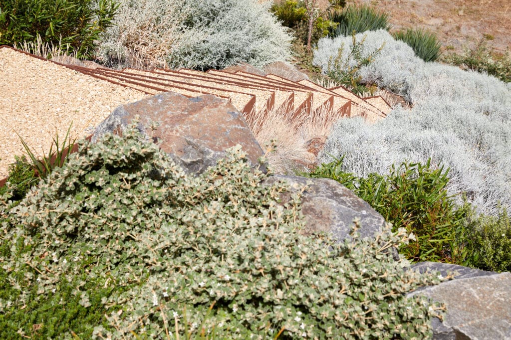 Gravel steps bordered by rust-coloured metal descend through a landscaped garden with rocks, shrubs, and various plants. Loci Landscapes | Landscape Designers Tasmania