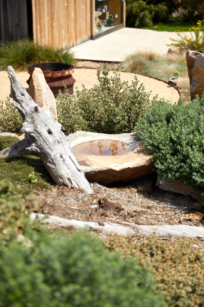 A shallow stone birdbath filled with water sits among shrubs and a weathered tree branch in a landscaped garden near a wooden building, evoking the tranquil charm of Clifton Beach. Loci Landscapes | Landscape Designers Tasmania