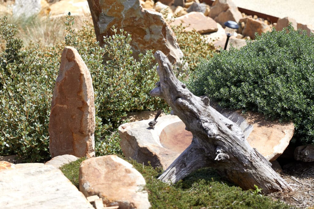 A weathered tree branch rests on a flat rock with a shallow water depression, surrounded by green shrubs and upright stones in a garden setting, evoking the tranquil vibe of Clifton Beach. Loci Landscapes | Landscape Designers Tasmania