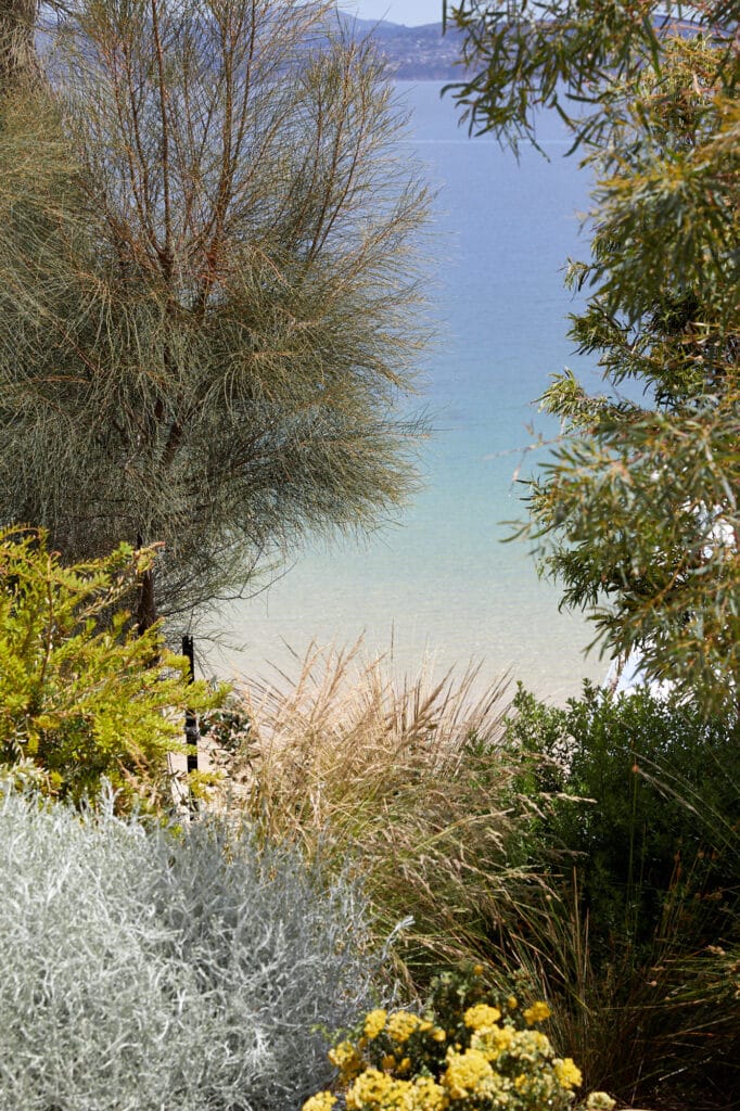 Various trees and shrubs frame a view of the calm, clear blue water of a lake or sea, with sandy shallows visible near the shore. Loci Landscapes | Landscape Designers Tasmania
