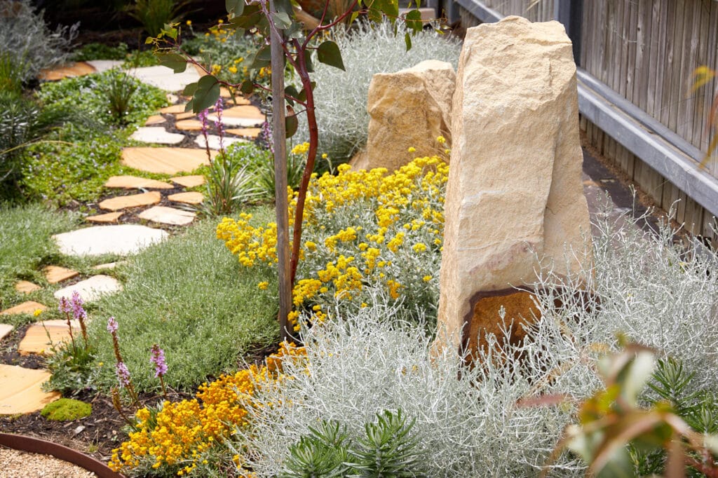A garden featuring large sandstone rocks, yellow and white flowering plants, silver foliage, and a winding stone path next to a wooden fence. Loci Landscapes | Landscape Designers Tasmania