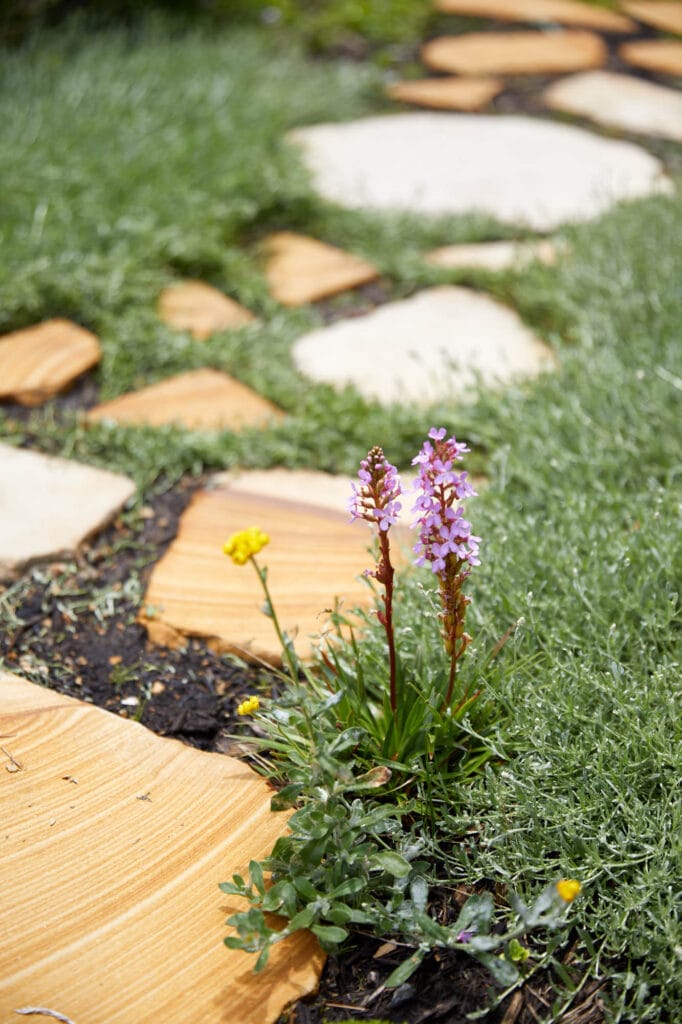 Pink and yellow wildflowers growing next to a path made of irregular tan stone paving set in green grass. Loci Landscapes | Landscape Designers Tasmania