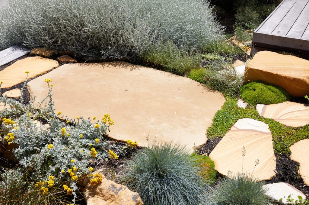 A garden with large flat stones, yellow flowers, green moss, and various shrubs next to a wooden decking. Loci Landscapes | Landscape Designers Tasmania