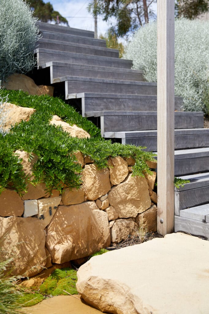 Wide stone steps ascend beside a retaining wall made of large tan rocks and lush green plants in an outdoor garden setting. Loci Landscapes | Landscape Designers Tasmania