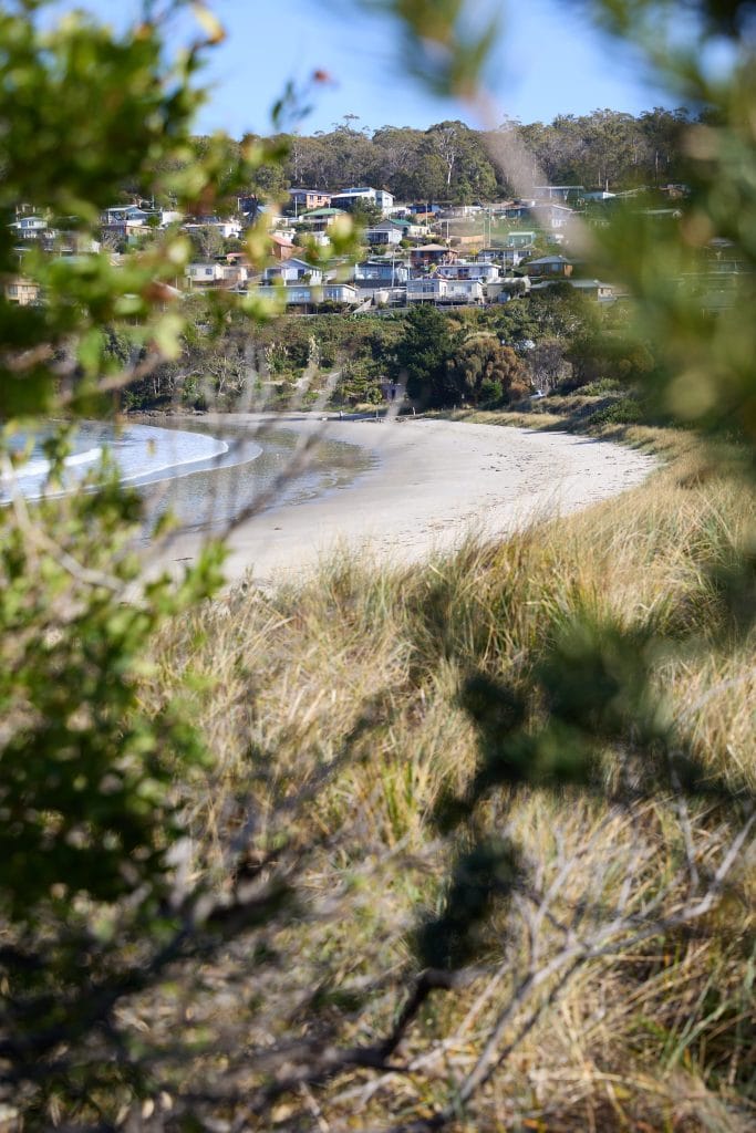 Beachfront houses overlook a sandy shoreline, with grassy dunes and leafy branches in the foreground. Loci Landscapes | Landscape Designers Tasmania