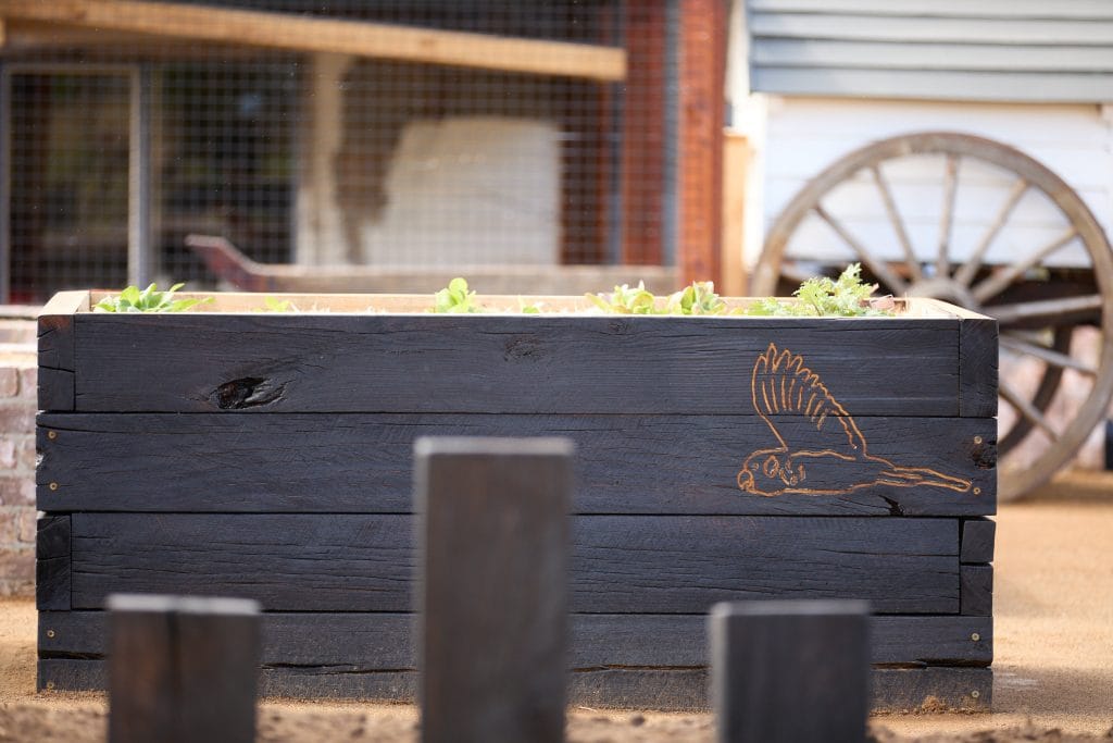 A black wooden planter with small green plants and an engraved owl design sits outdoors, enhancing the Native Landscape Design; a wagon wheel and building are in the background in Howden. Loci Landscapes | Landscape Designers Tasmania