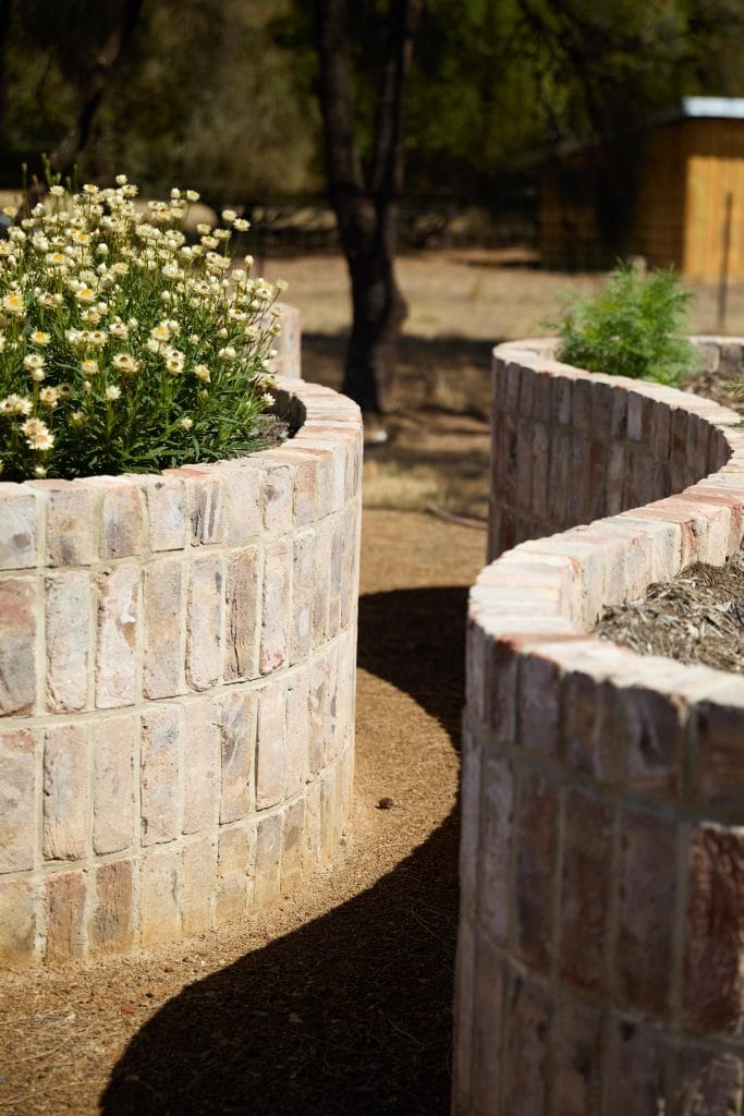 A raised circular brick planter featuring white flowers stands beside similar planters on a dirt path in Howden, showcasing elements of native landscape design in this outdoor garden. Loci Landscapes | Landscape Designers Tasmania