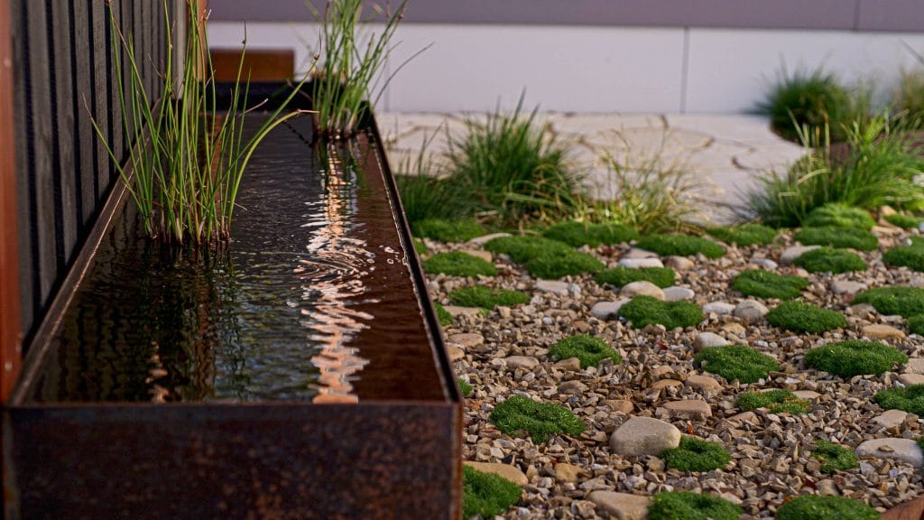 Rectangular metal water feature with tall aquatic plants next to a gravel garden with scattered green moss and stones. Loci Landscapes | Landscape Designers Tasmania