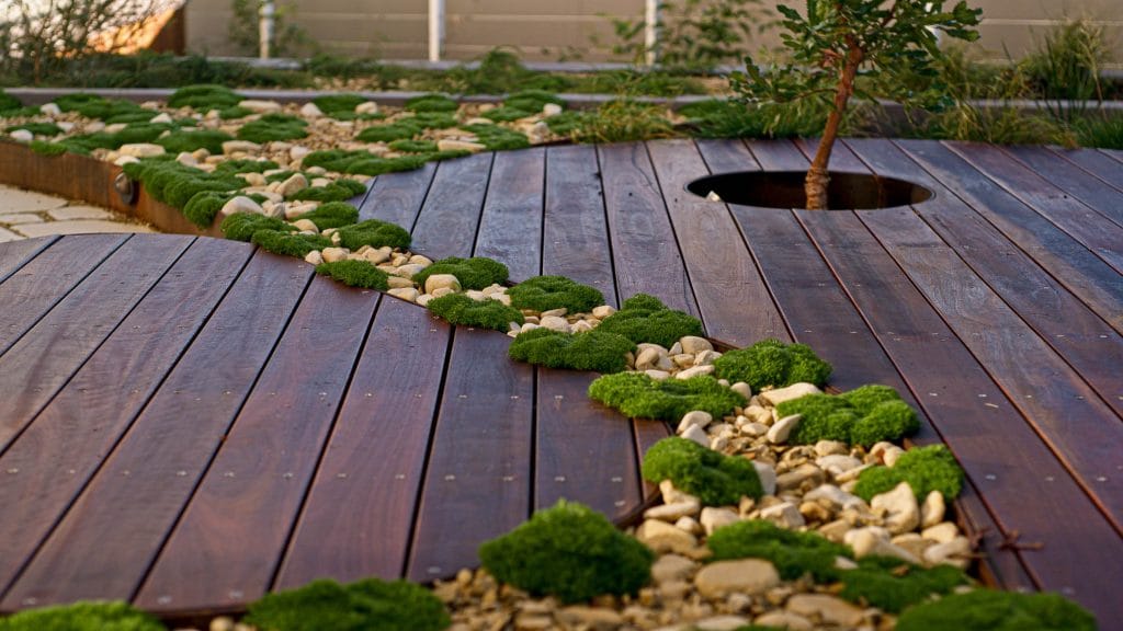 Wooden decking with a circular cut-out for a tree, featuring a winding path of moss and rocks integrated into the design. Loci Landscapes | Landscape Designers Tasmania