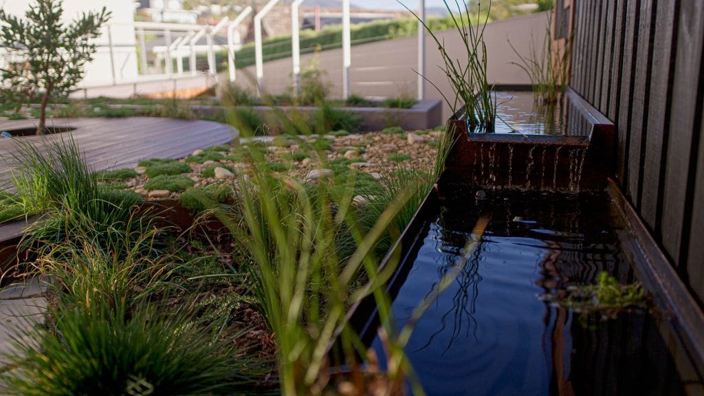 A modern garden features a small reflecting pond with a waterfall, surrounded by grasses, rocks, and a wooden decking. Loci Landscapes | Landscape Designers Tasmania