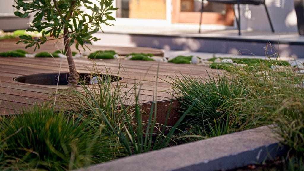A modern outdoor decking surrounds a small tree, with ornamental grasses planted along the edges and a chair visible in the background. Loci Landscapes | Landscape Designers Tasmania