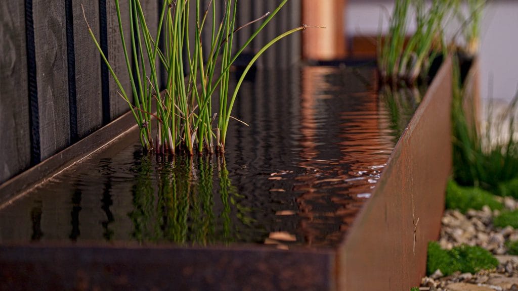 Rectangular metal water feature with tall green aquatic plants growing from the surface, next to a dark fence and gravel ground. Loci Landscapes | Landscape Designers Tasmania
